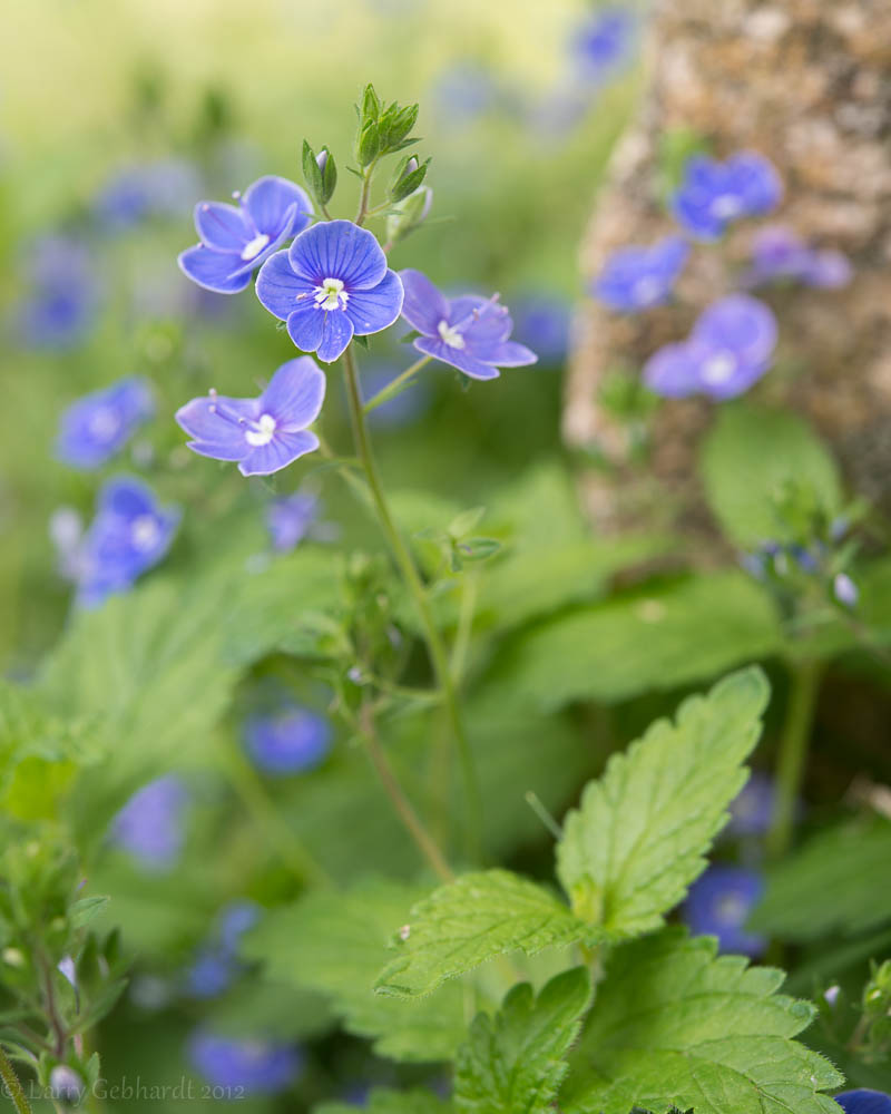 20130528-163817.jpg