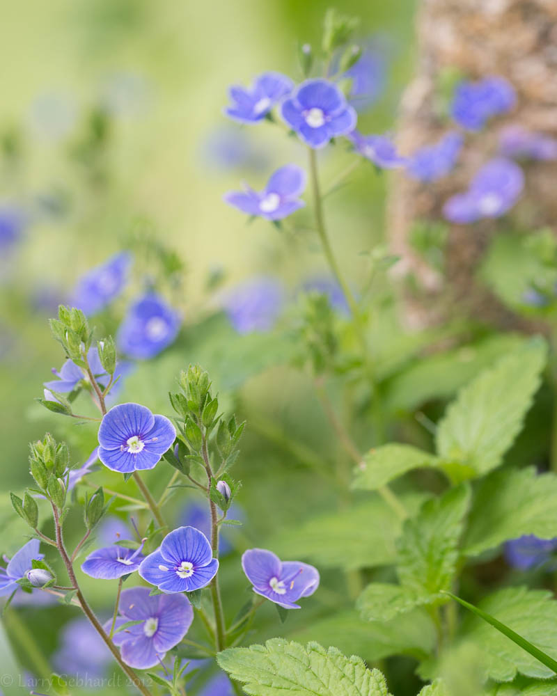 20130528-165113.jpg