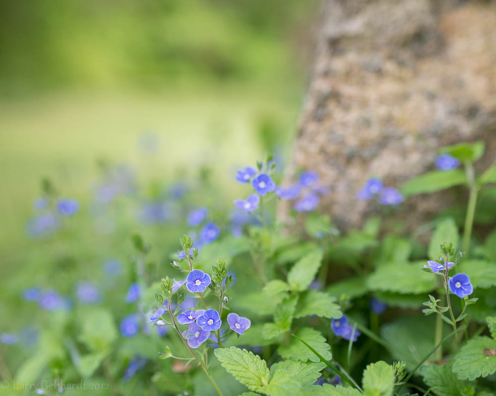 20130528-170741.jpg